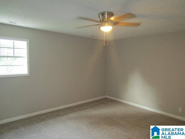 2921 Florida Road Pell City, AL 35125 - Photo 16 of 23