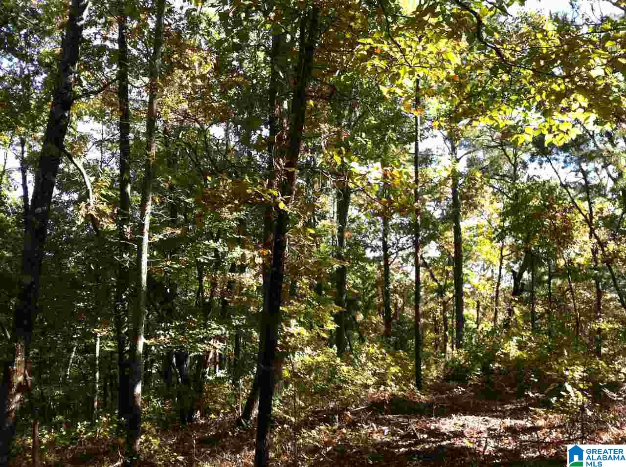 5603 Risers Mill Road, Unit 1 Alpine, AL 35014 - Photo 5 of 11