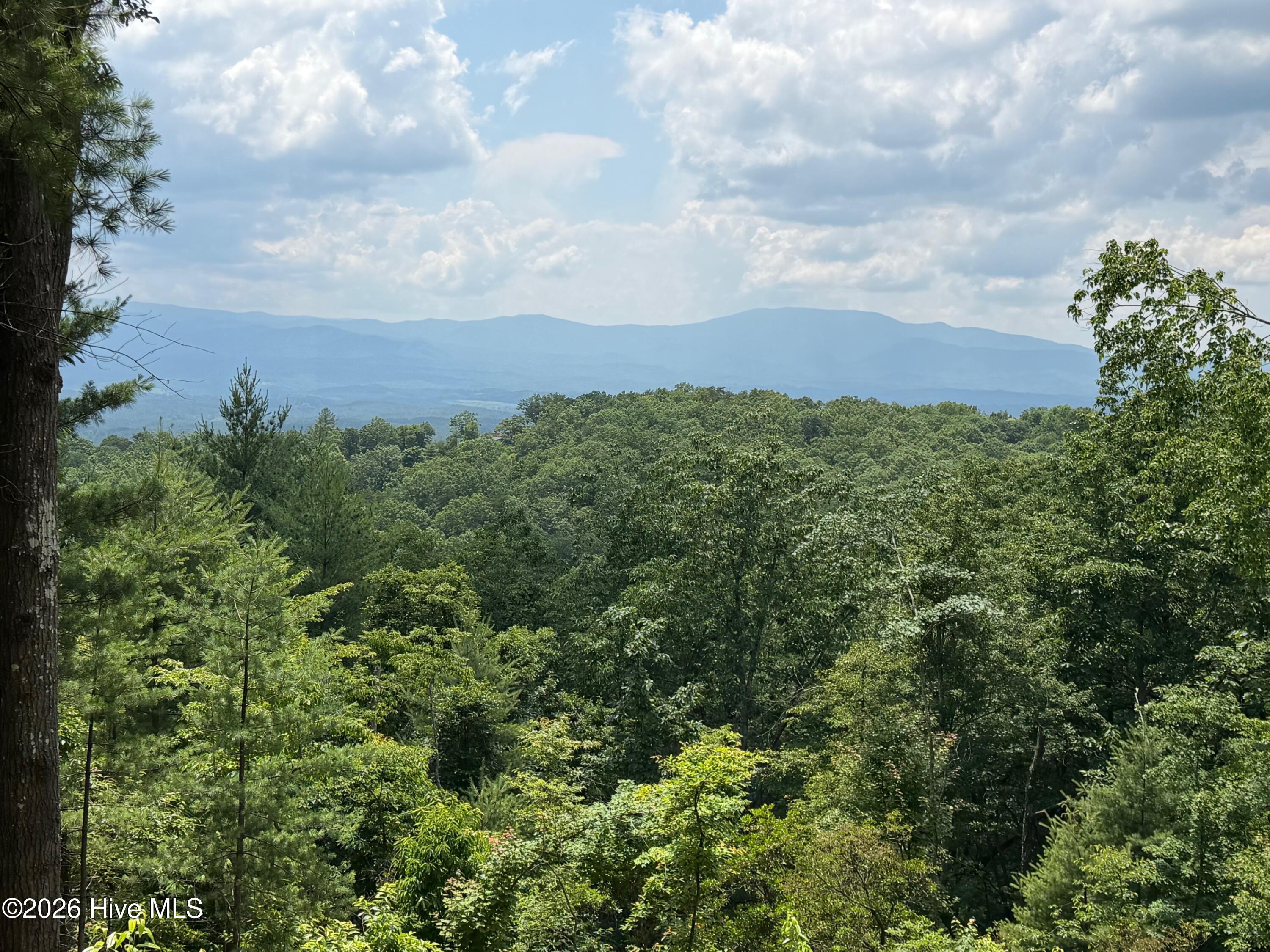 340 Lazy Country Cv Road Murphy, NC 28906 - Photo 5 of 5