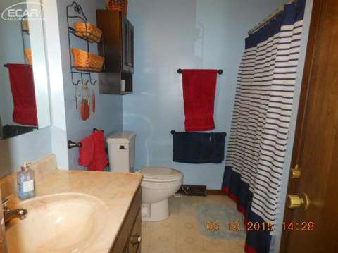 6166 Pinkerton Road Vassar, MI 48768 - Photo 16 of 26 20432820-15.JPG