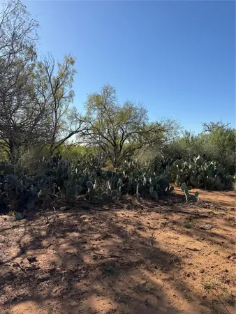 $259,877 | 7 County Road 300, Jourdanton, TX 78026