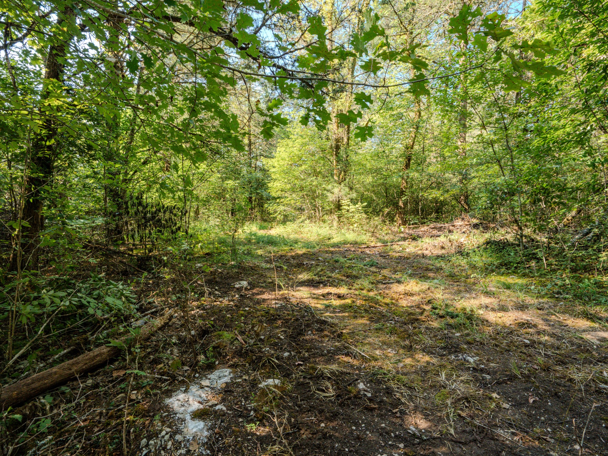 3644 Diana Ridge Road Pulaski, TN 38478 - Photo 21 of 45 Gallery Image 21