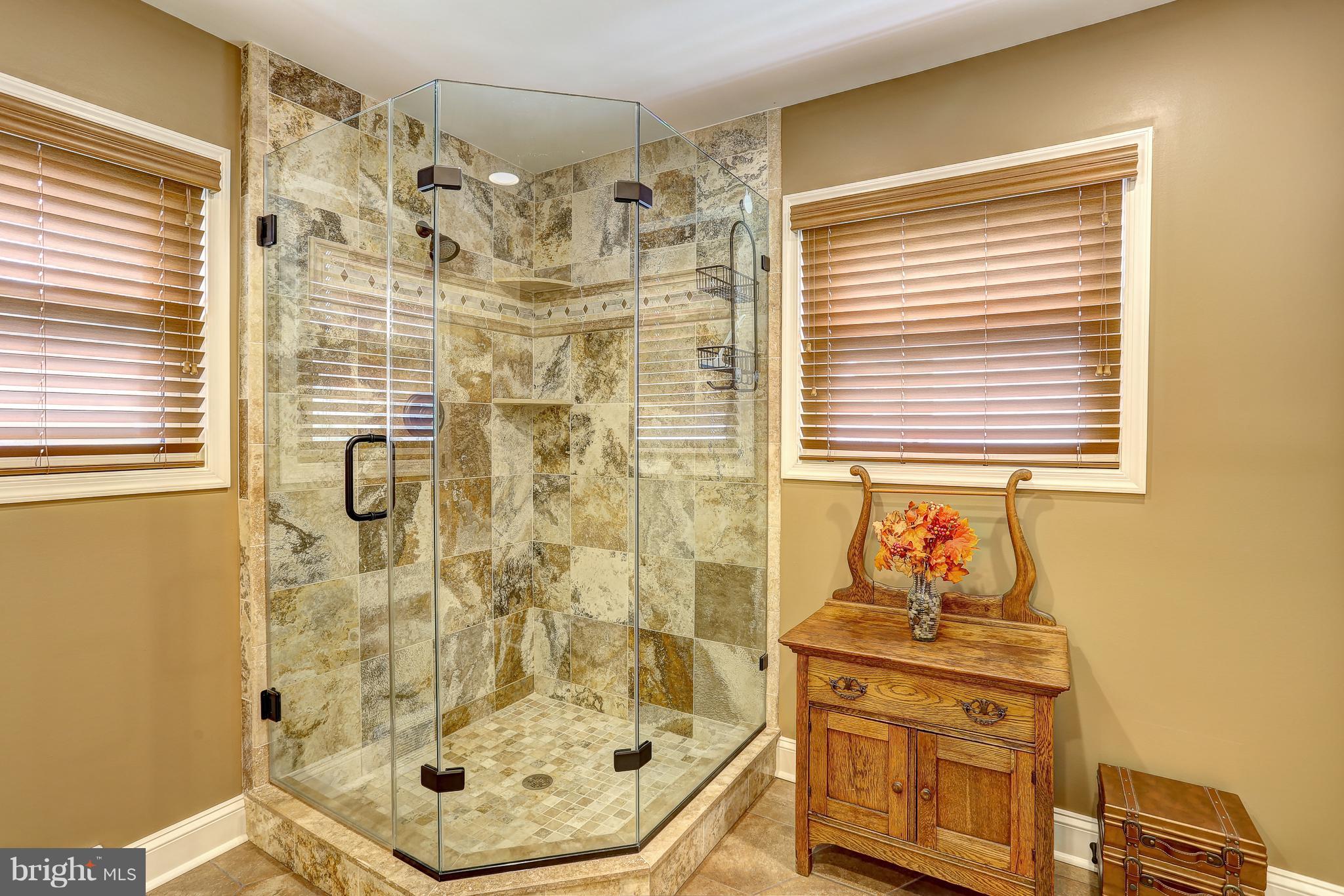 100 Oakmere Road Owings Mills, MD 21117 - Photo 10 of 38 Stand up shower