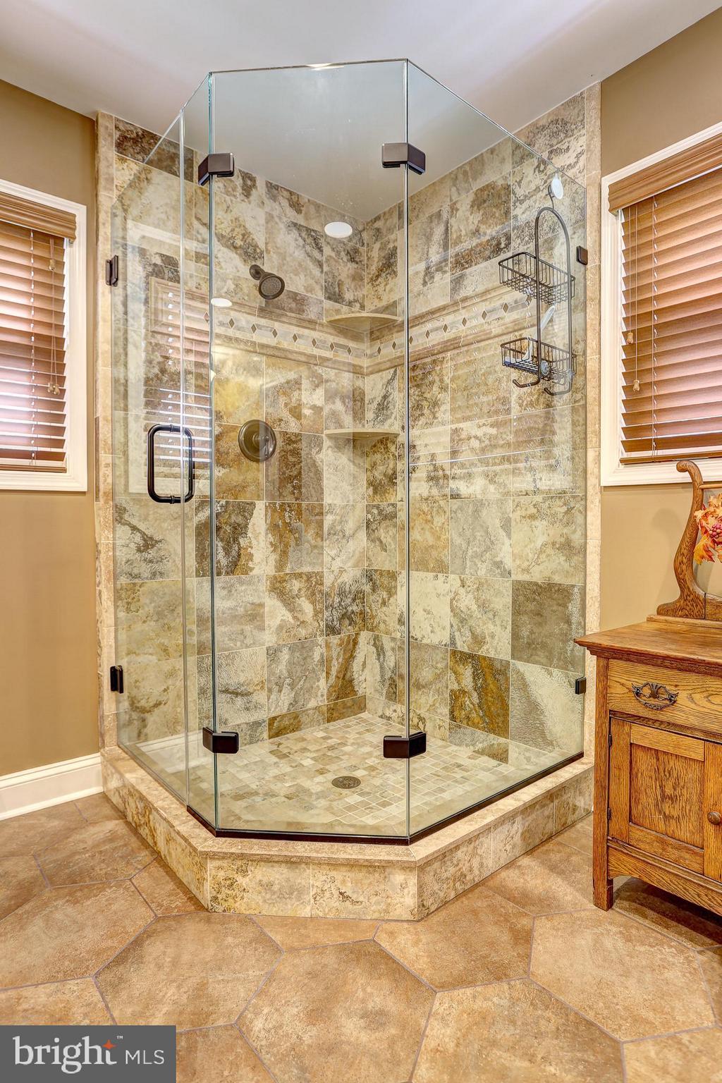 100 Oakmere Road Owings Mills, MD 21117 - Photo 11 of 38 Stand up shower