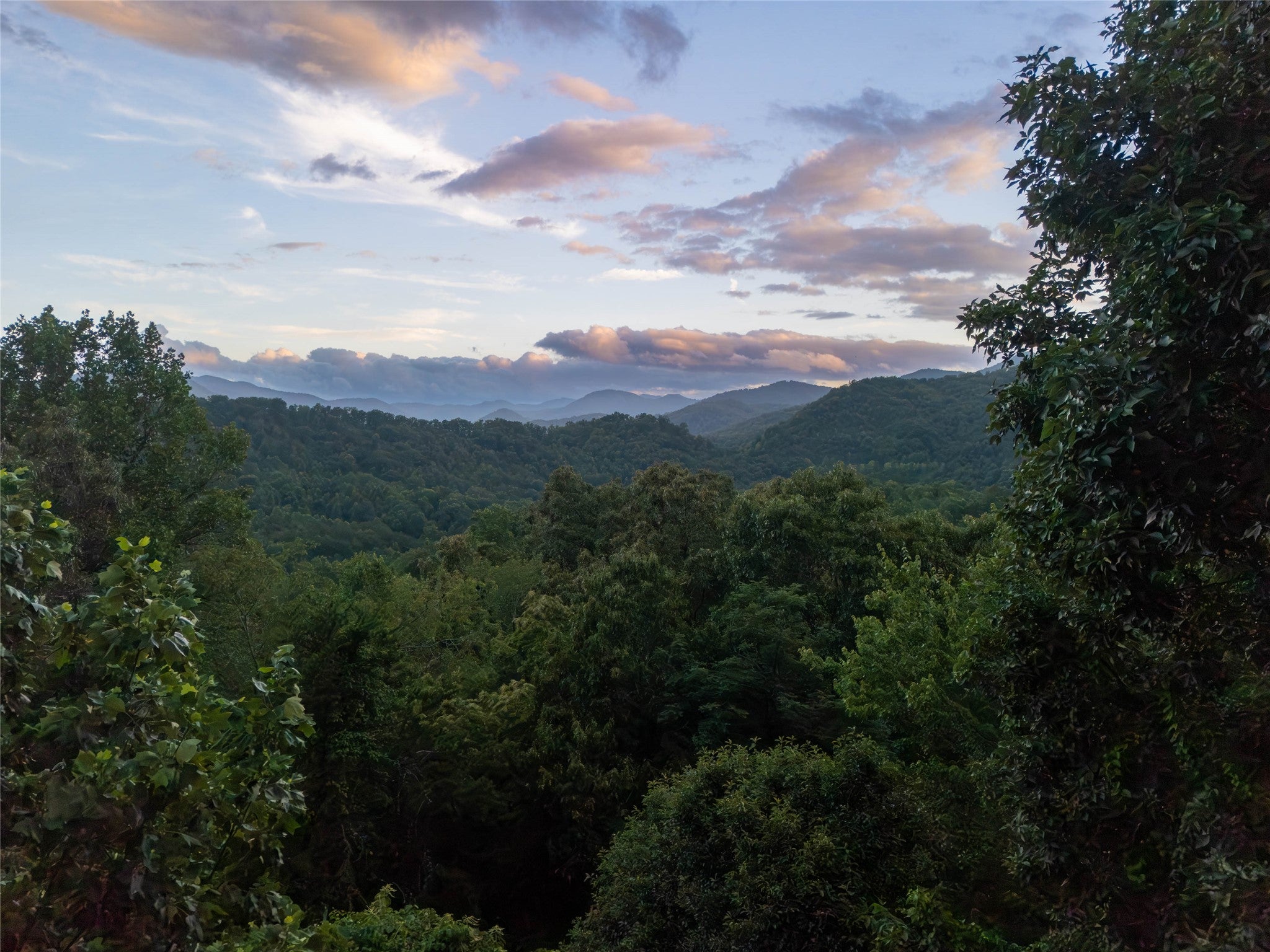 203 Star Dance Ridge Sylva, NC 28779 - Photo 29 of 48 Gallery Image 29