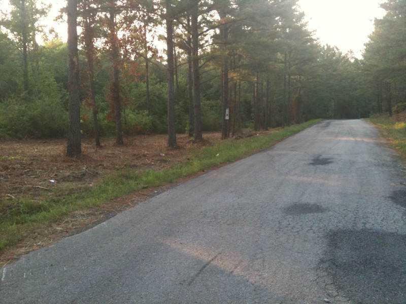 Tract1 Tract1 Golden Road Villa Rica, GA 30180 - Photo 1 of 1 Exterior Front. Property on Left Side of road.