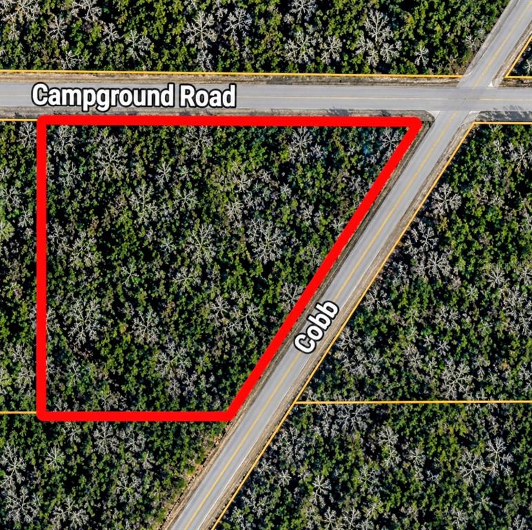 0 Cobb Road Brooksville, FL 34601 - Photo 4 of 4
