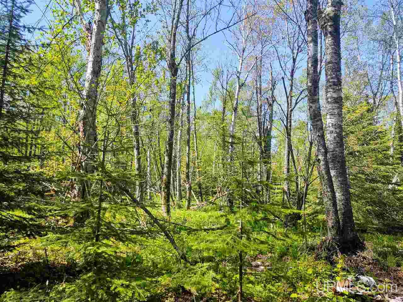 Tbd-parcel Point Abbaye Road Lanse, MI 49946 - Photo 21 of 26 Gallery Image 21