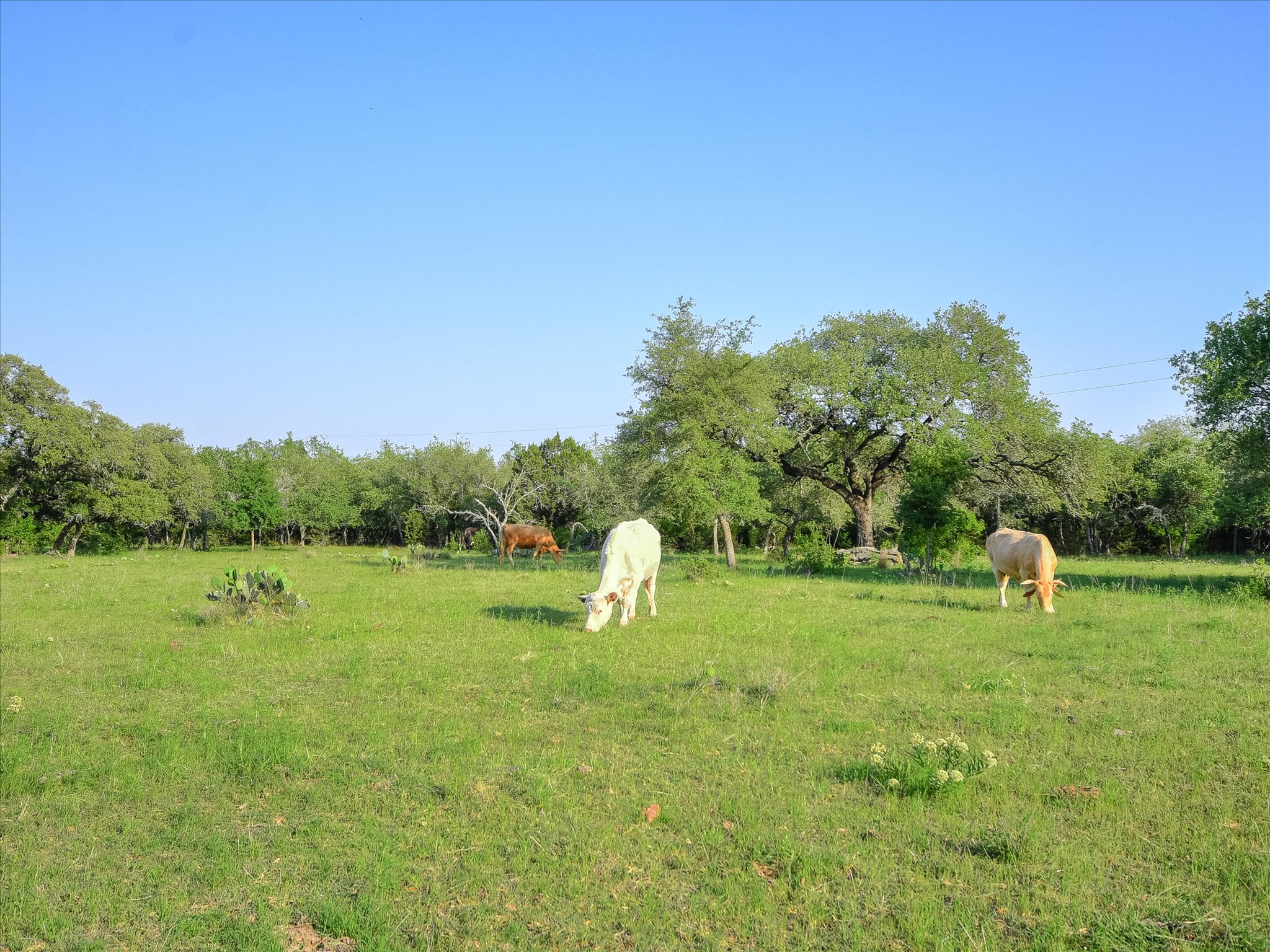 1050 River Mountain Road, Unit A Wimberley, TX 78676 - Photo 40 of 40 a view of a golf course with a lake