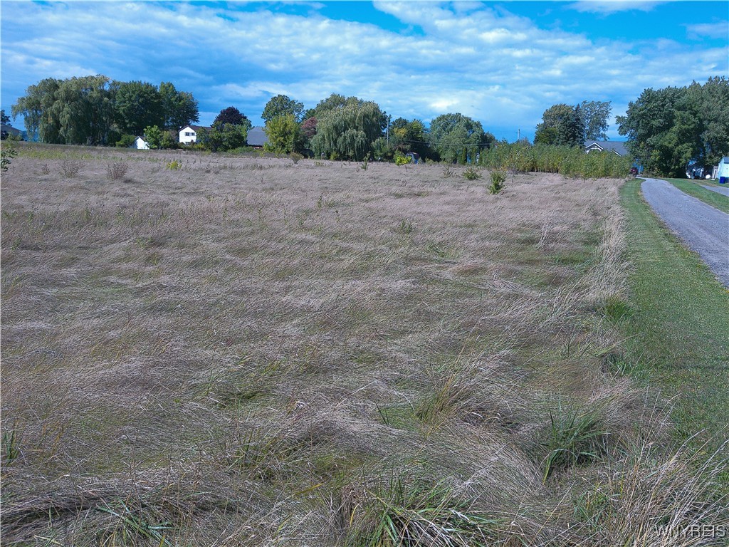 V/l Lake Road Youngstown, NY 14174 - Photo 6 of 11