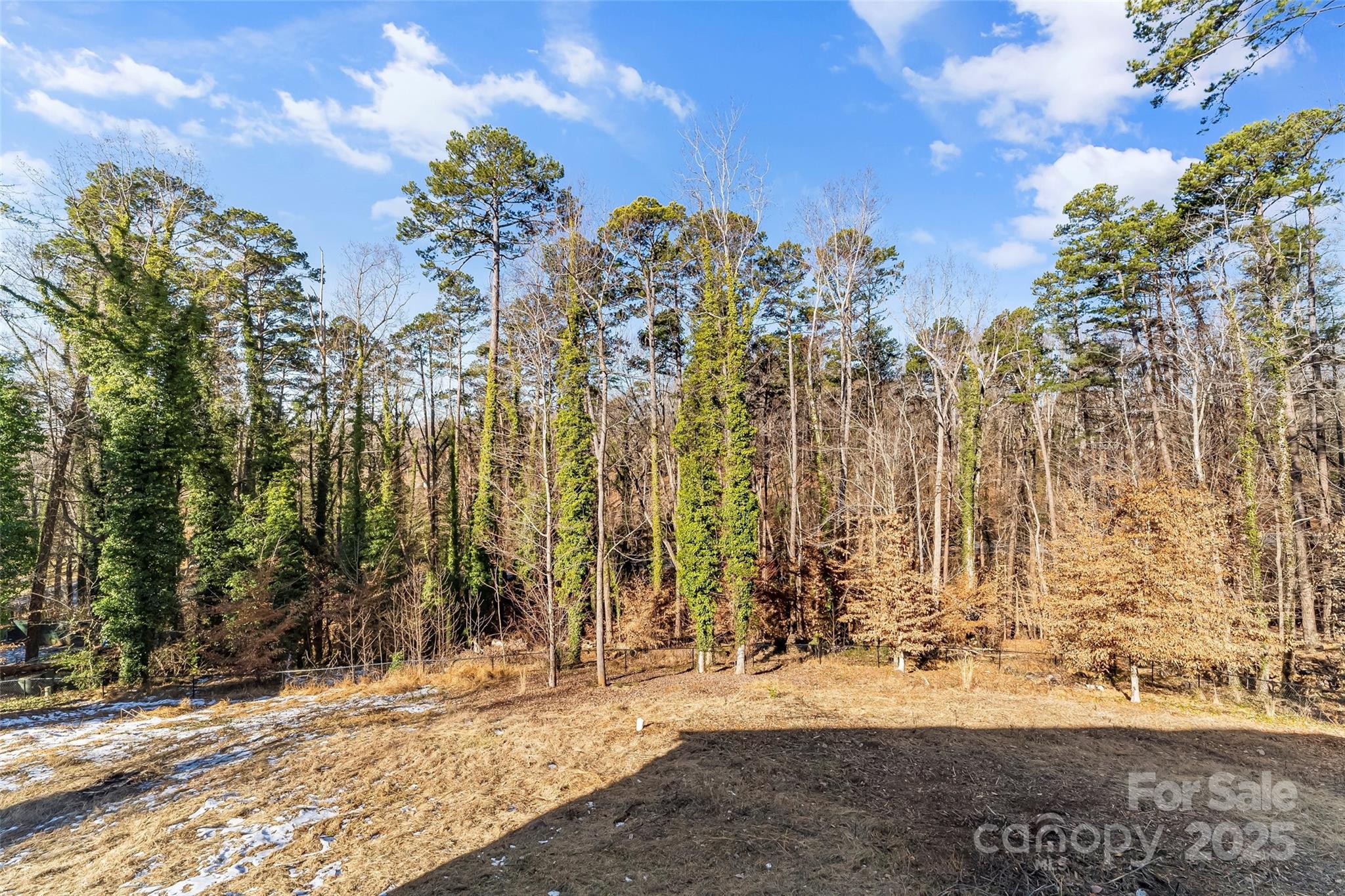 261 Skyline Road Hickory, NC 28601 - Photo 37 of 46 Gallery Image 37