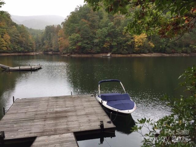 152 Mandolin Court Tuckasegee, NC 28783 - Photo 3 of 5