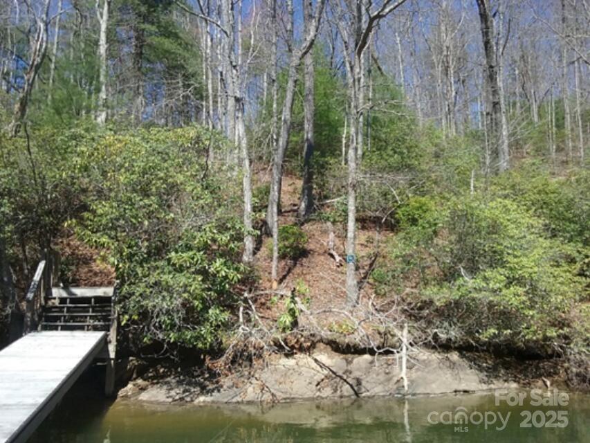 152 Mandolin Court Tuckasegee, NC 28783 - Photo 4 of 5
