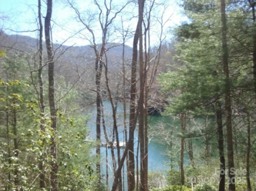 152 Mandolin Court Tuckasegee, NC 28783 - Photo 5 of 5