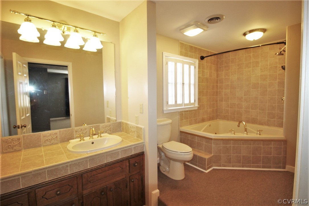 5053 Bell Road Dillwyn, VA 23936 - Photo 14 of 29 a bathroom with a bathtub shower sink mirror and toilet