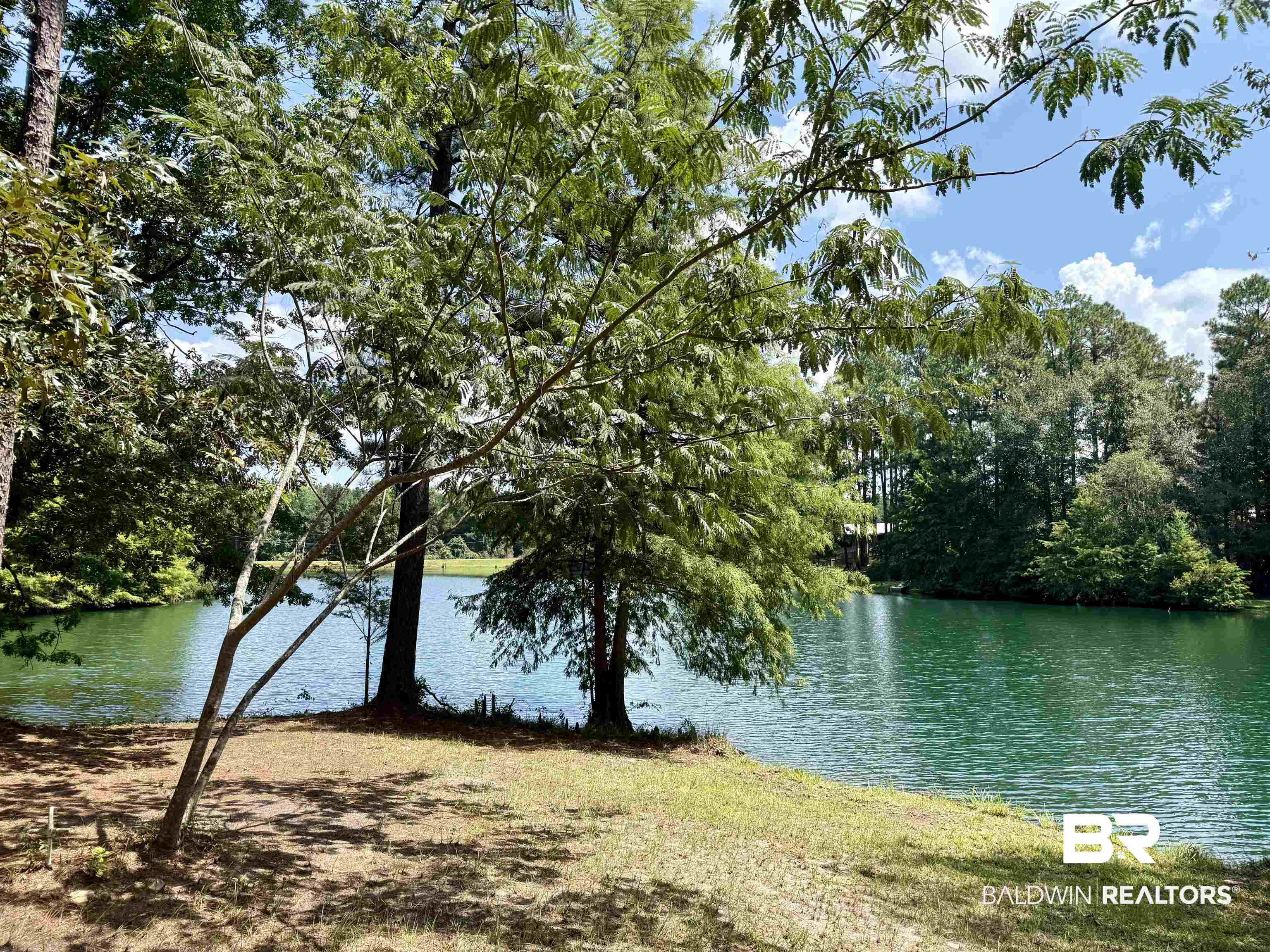 778 Buddy Lake Road Brewton, AL 36426 - Photo 2 of 7 Water view