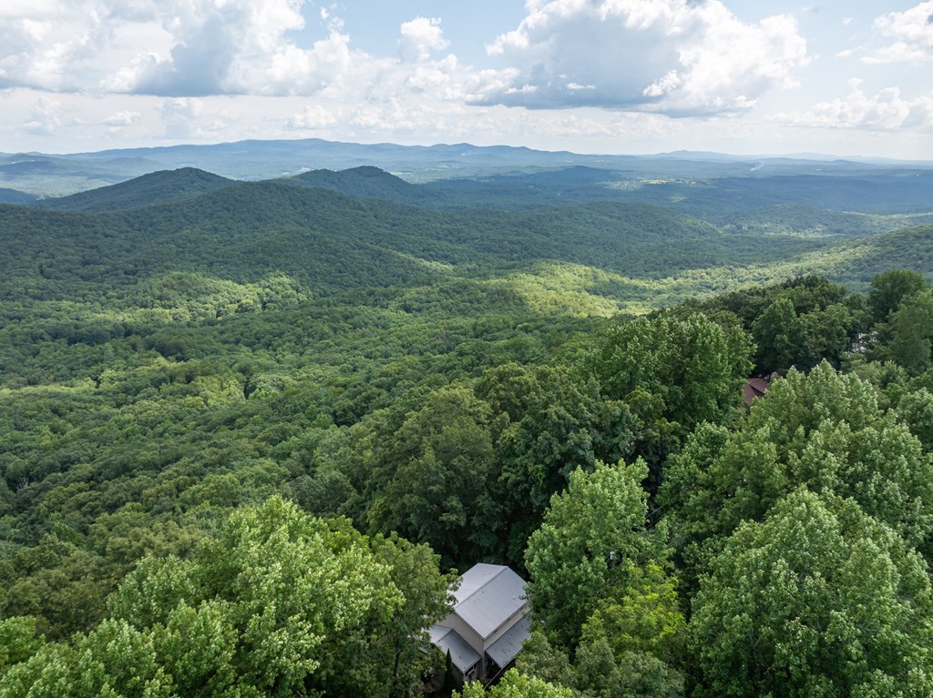 1534 Walnut Ridge Ellijay, GA 30536 - Photo 16 of 61 Gallery Image 16