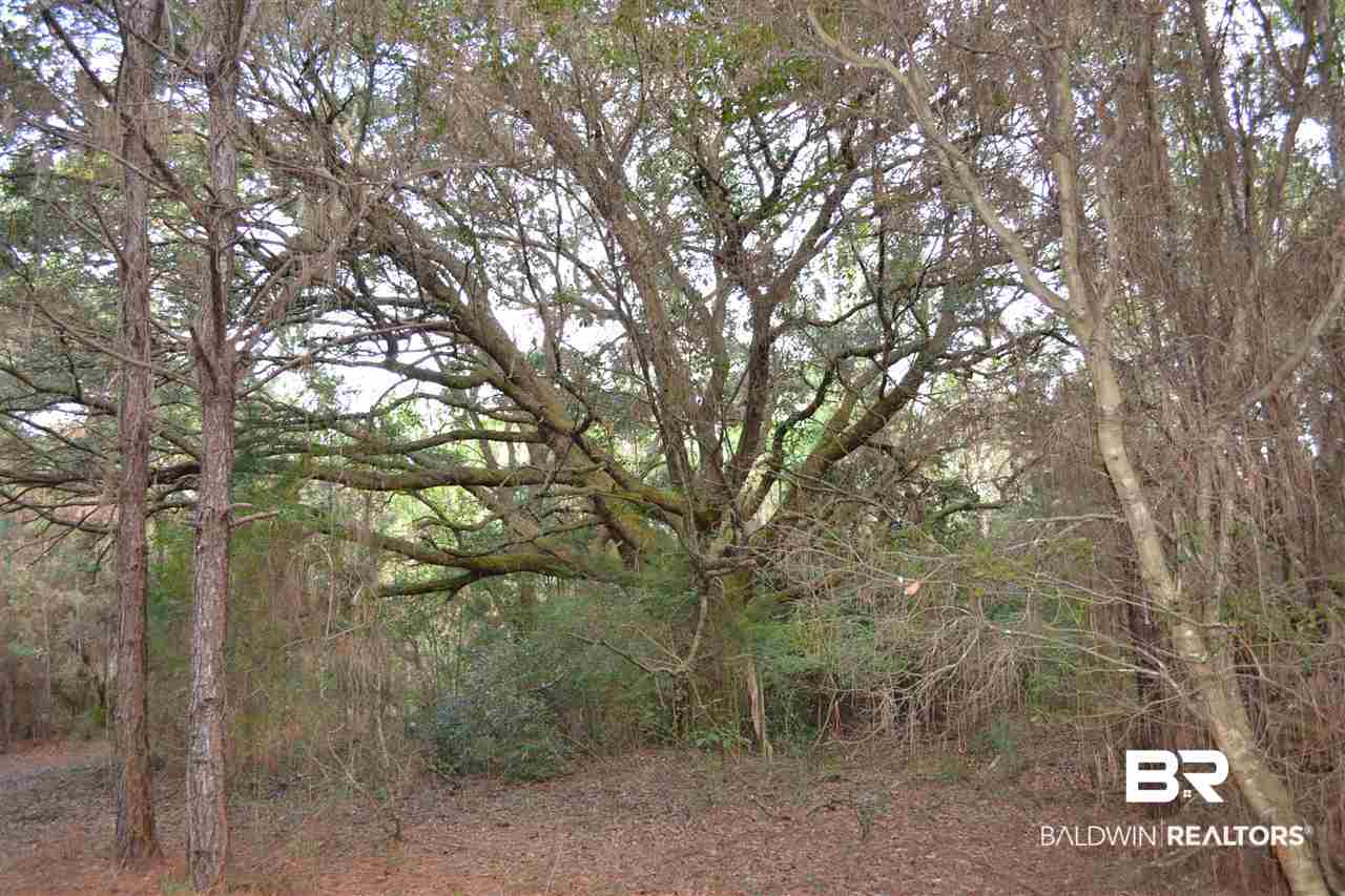 20751 Keller Road Foley, AL 36535 - Photo 35 of 44