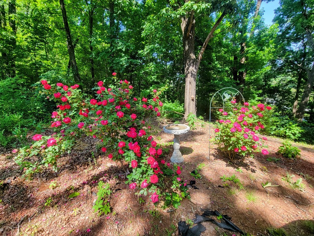 3814 Blue Springs Road Southeast Cleveland, TN 37311 - Photo 13 of 33 Gallery Image 13