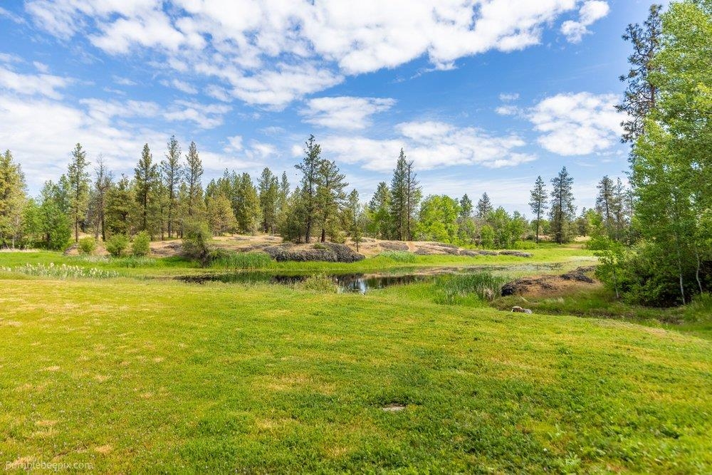 21517 West Cameron Road Cheney, WA 99004 - Photo 45 of 49