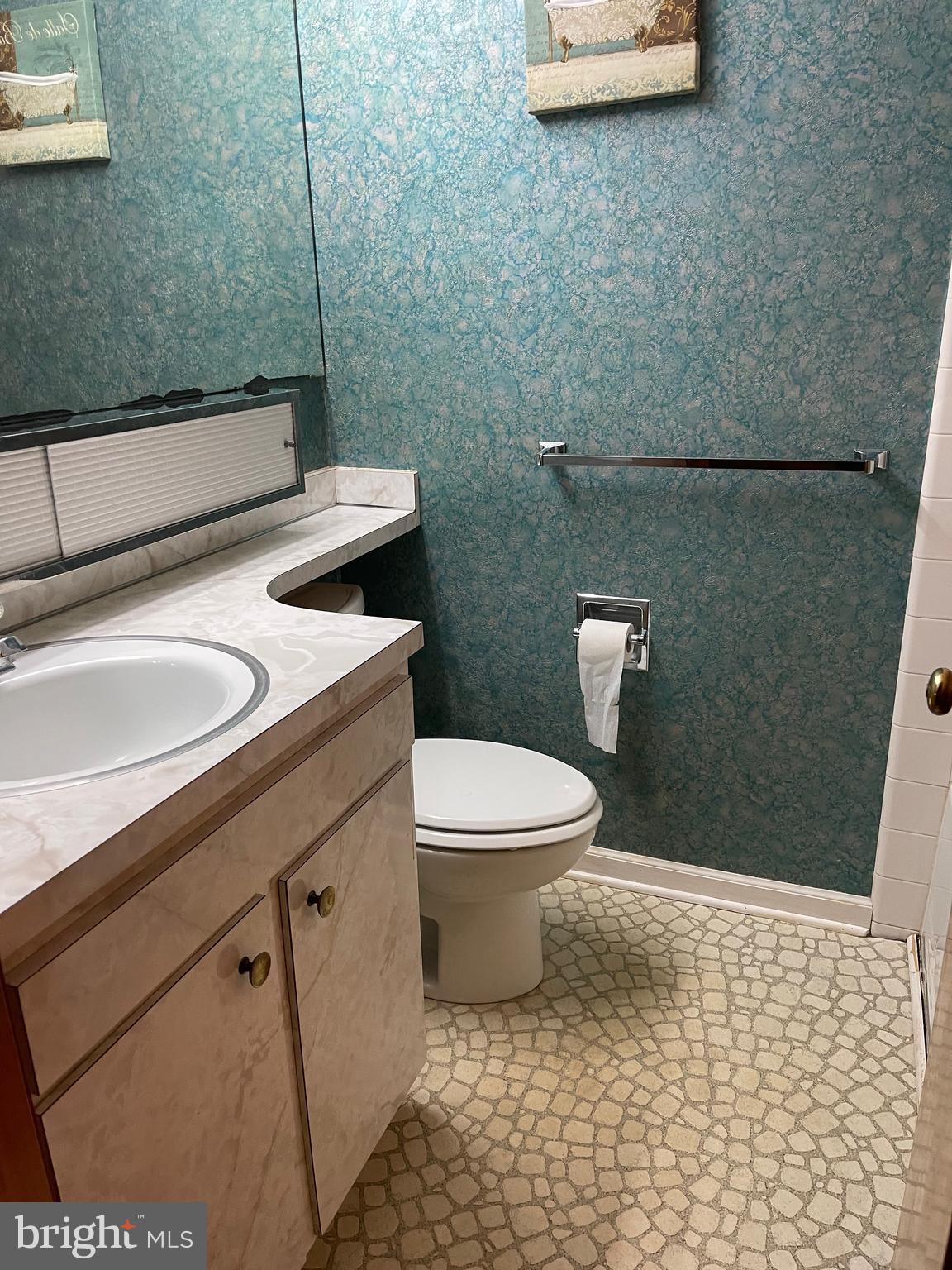 2911 Red Lion Road Bear, DE 19701 - Photo 15 of 29 Main Bathroom