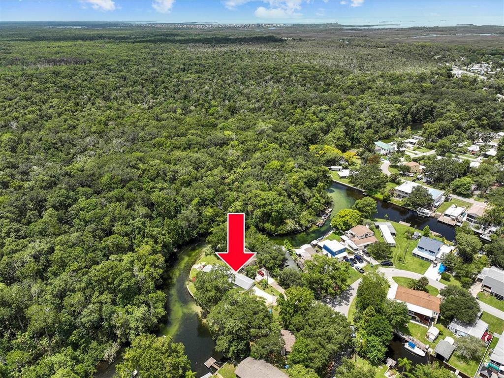 6090 Waverly Road Weeki Wachee, FL 34607 - Photo 19 of 40 Gallery Image 19