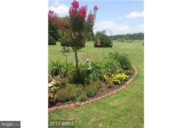 7670 2 Johns Road Preston, MD 21655 - Photo 22 of 30 View of the front yard