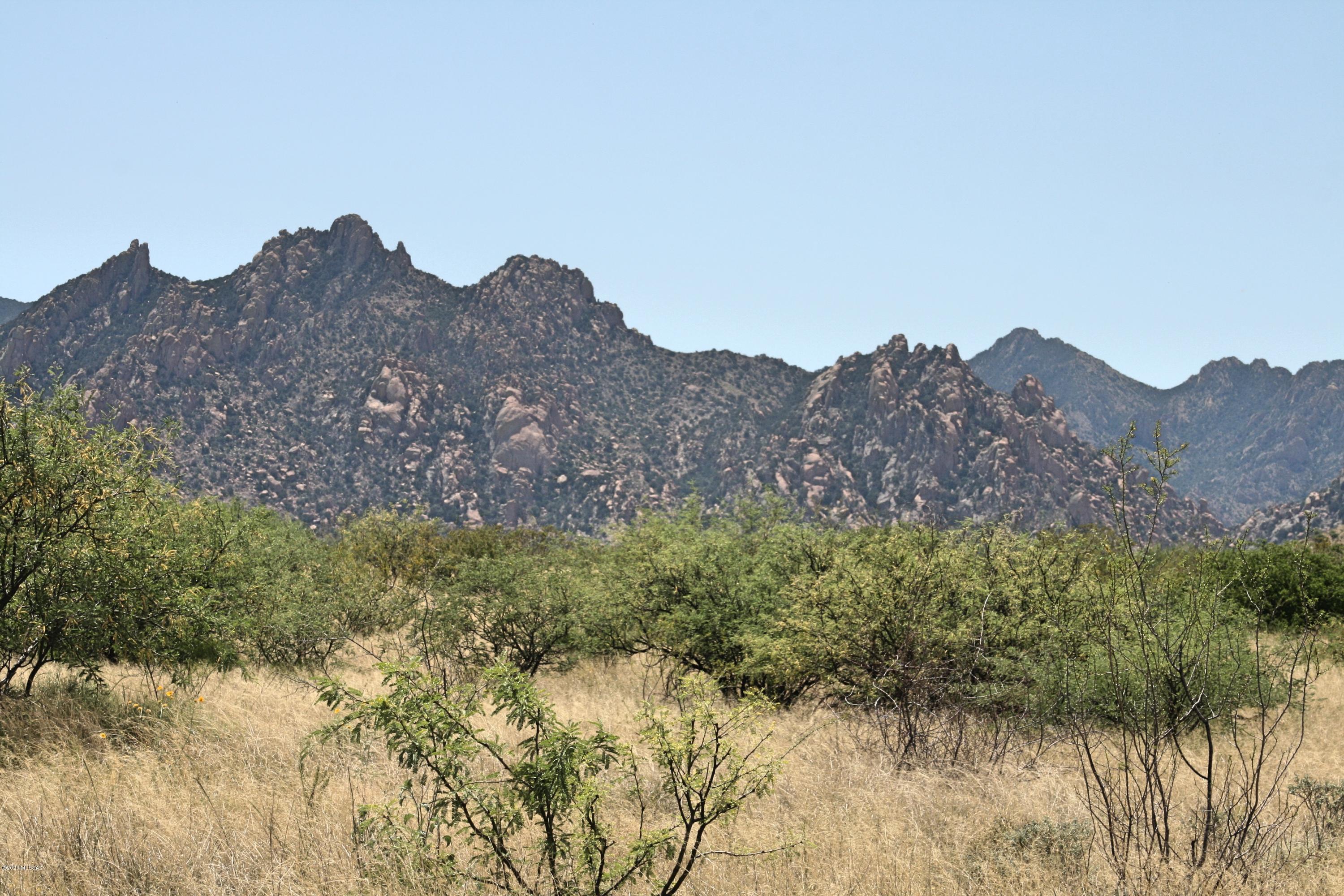 IMG_2114_Fotor