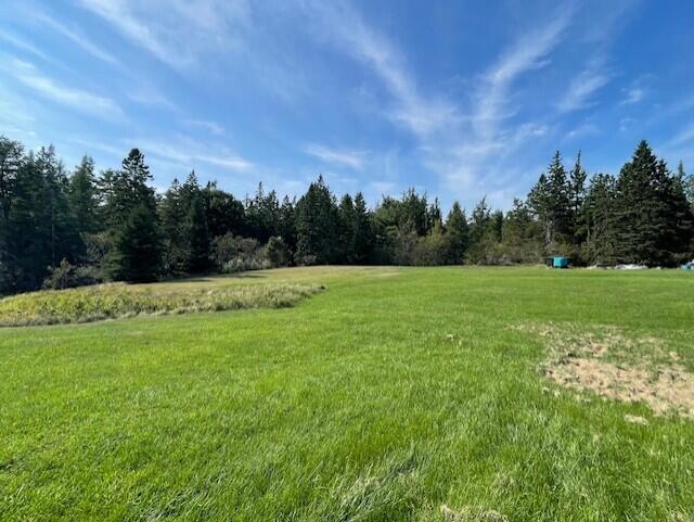 307 Oak Point Road Harrington, ME 04643 - Photo 39 of 40 Back Yard