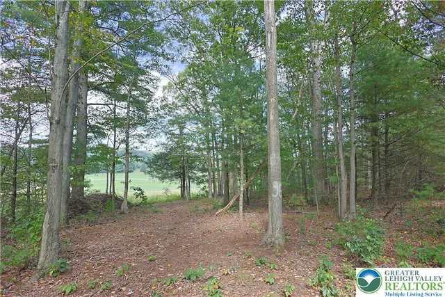 a view of outdoor space and trees