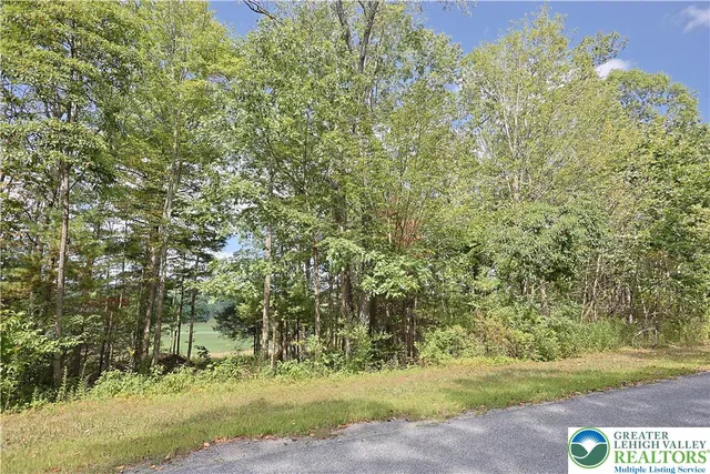 a view of a trees with a yard