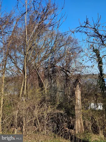 a backyard of a building