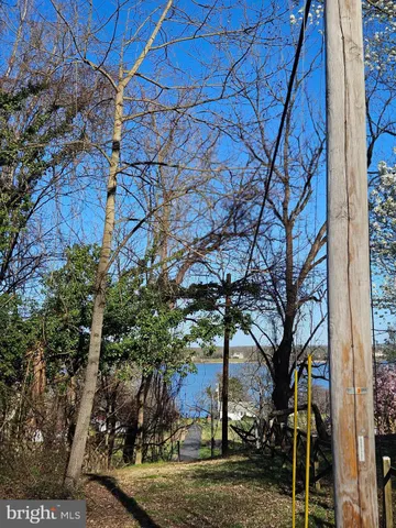 a view of a yard with plants and trees