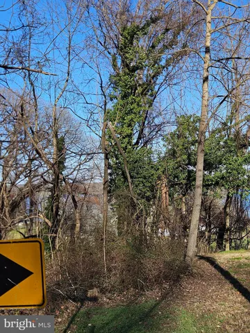 a view of a yard with plants and trees