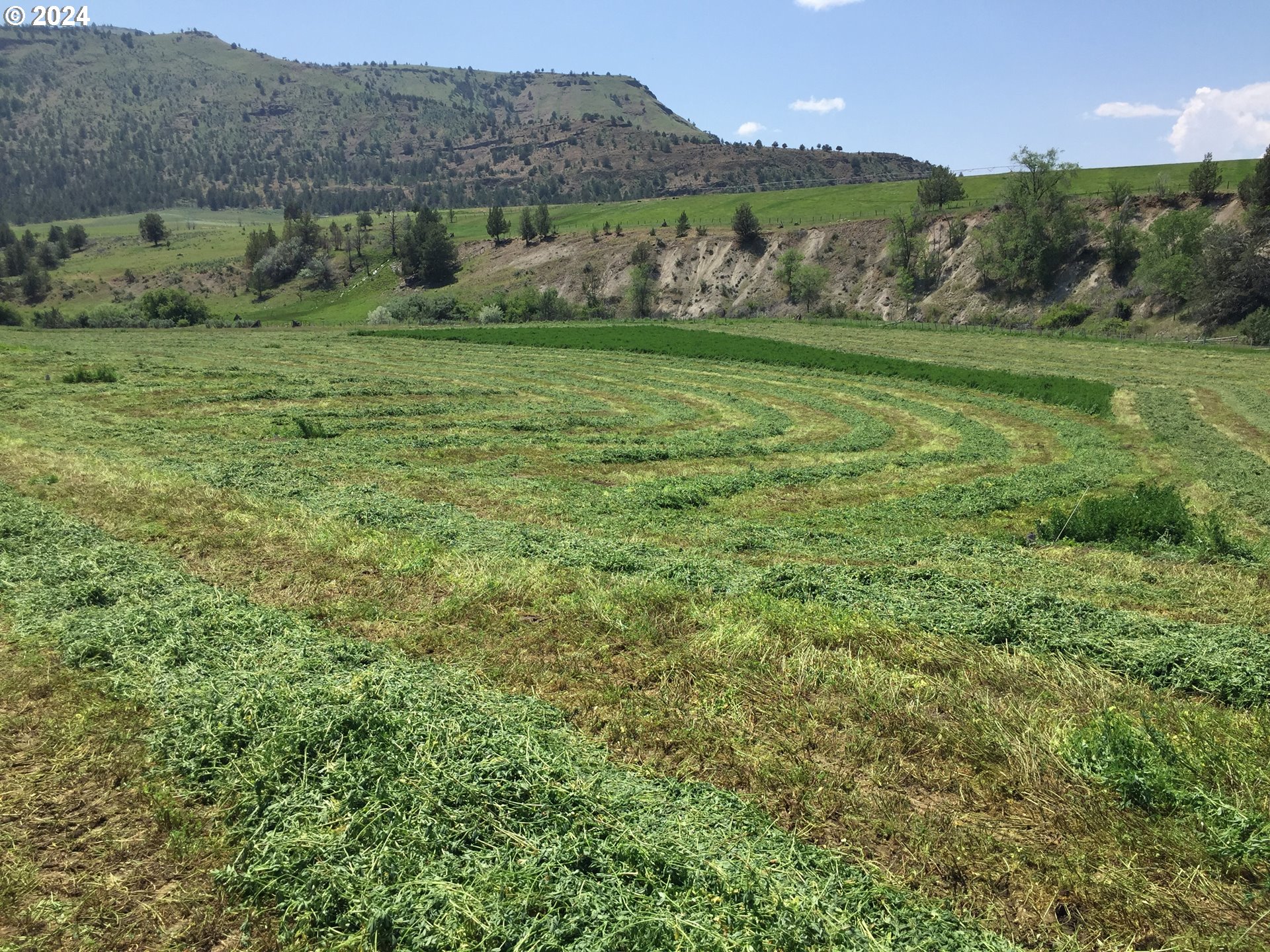 40838 Rudio Road Kimberly, OR 97848 - Photo 25 of 46