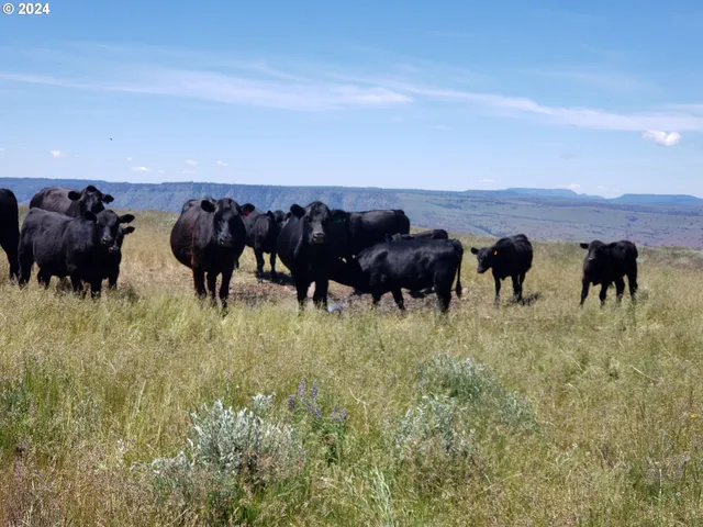 $3,750,000 | 40838 Rudio Road, Kimberly, OR 97848