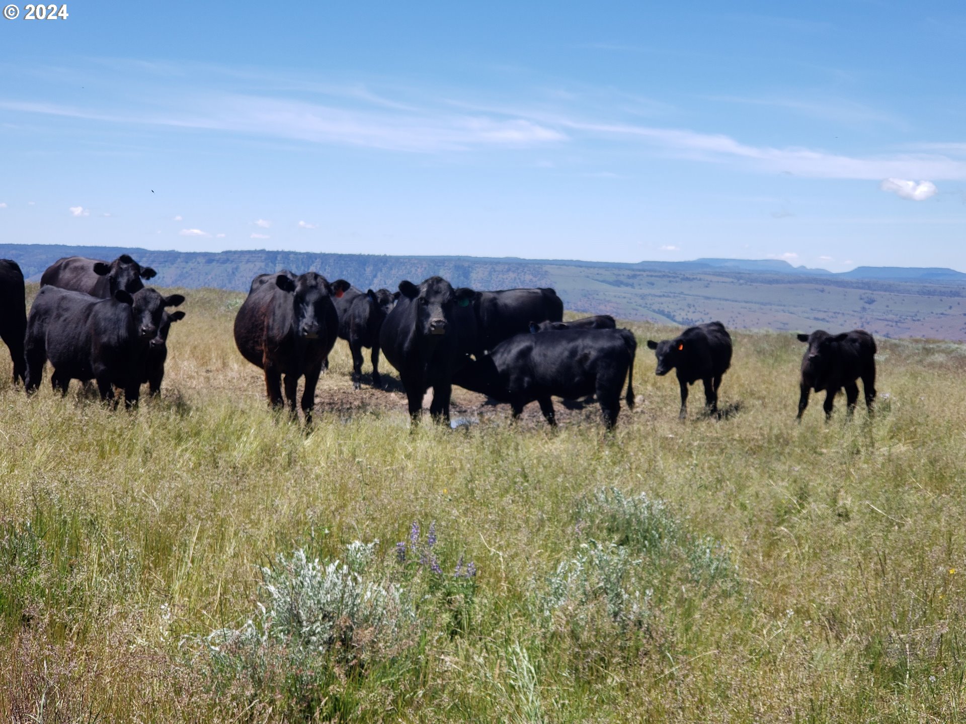 40838 Rudio Road Kimberly, OR 97848 - Photo 29 of 46