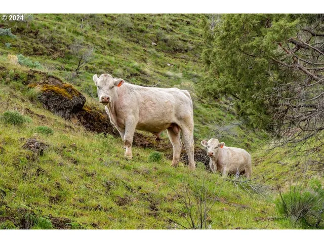 $3,750,000 | 40838 Rudio Road, Kimberly, OR 97848