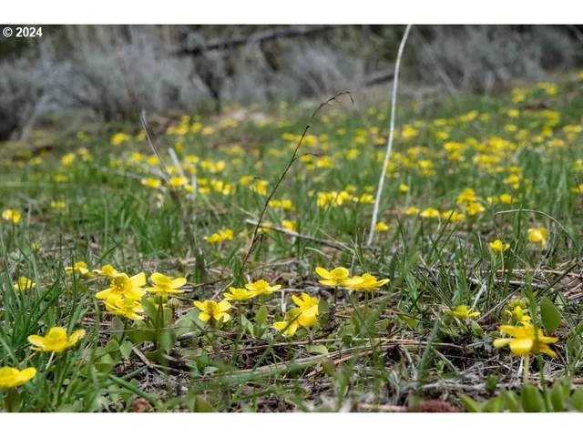 $3,750,000 | 40838 Rudio Road, Kimberly, OR 97848