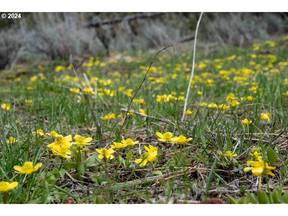 40838 Rudio Road Kimberly, OR 97848 - Photo 44 of 46