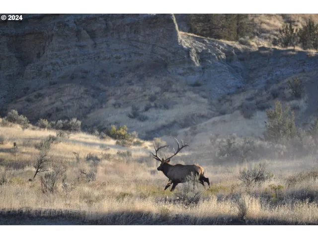 $3,750,000 | 40838 Rudio Road, Kimberly, OR 97848