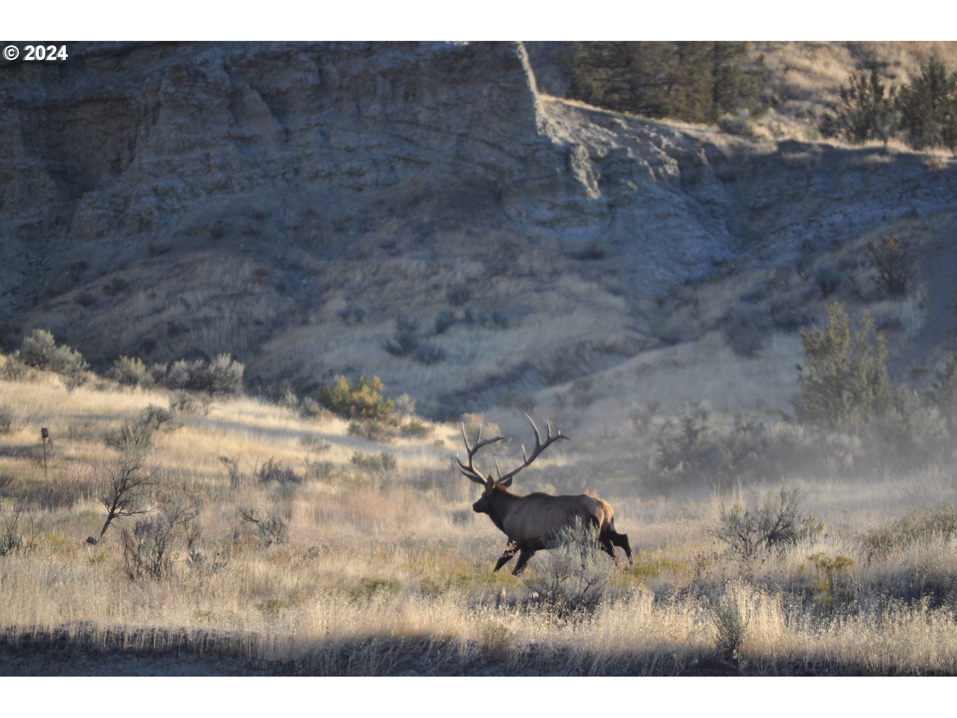 40838 Rudio Road Kimberly, OR 97848 - Photo 45 of 46