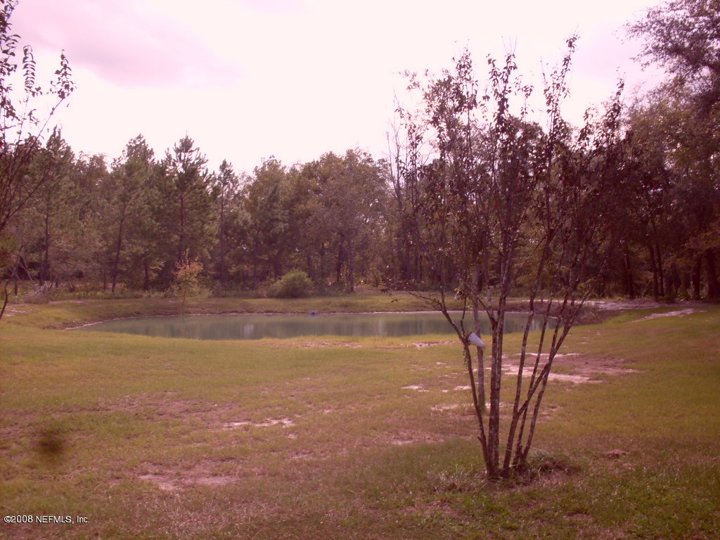 694 Dave Brown Road St. George, GA 31562 - Photo 3 of 19 Pond