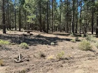 $12,000 | 0 Gray Wolf Lane, Unit LOT 11, Chiloquin, OR 97624