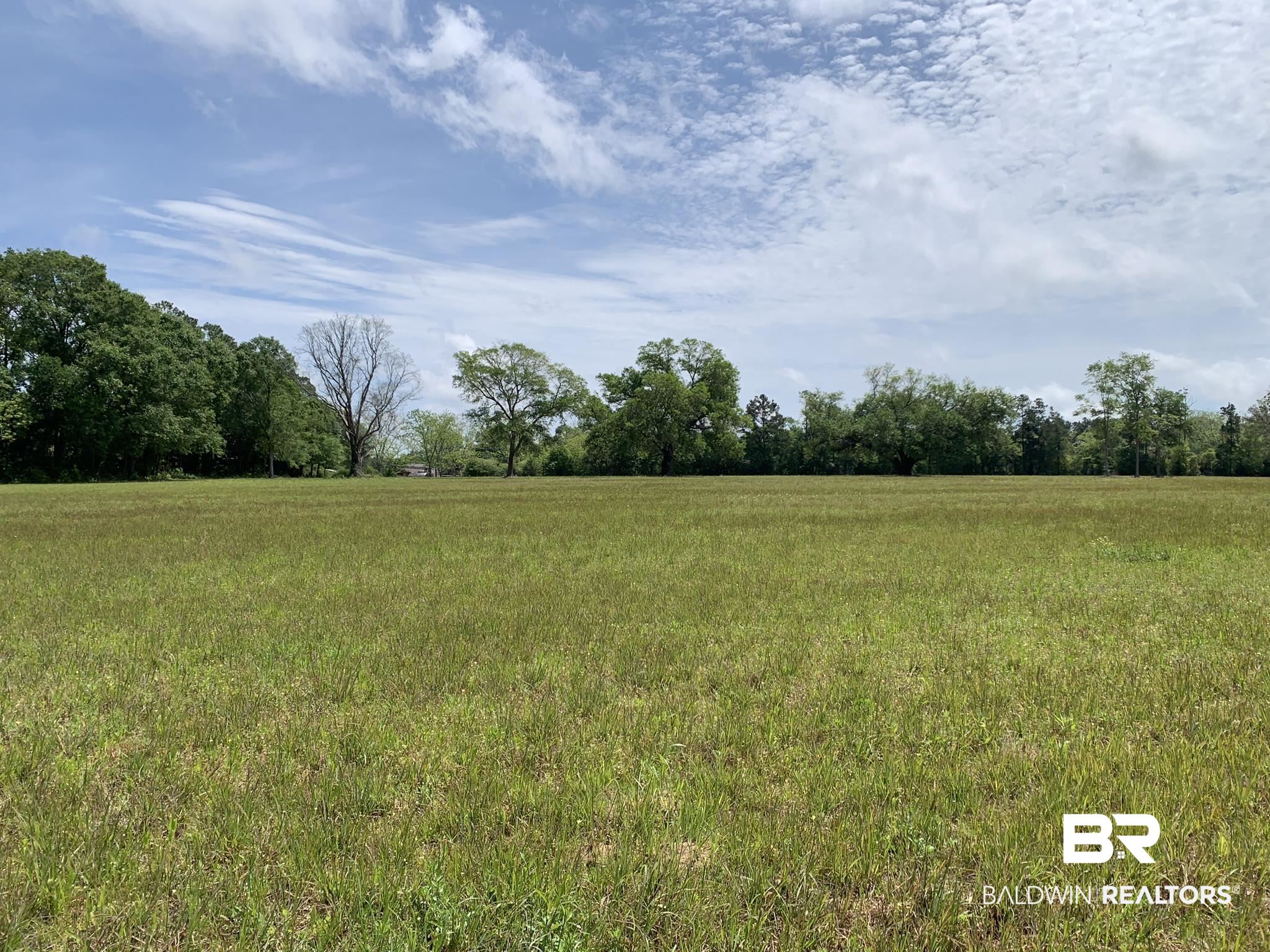 12350 County Road 87 Elberta, AL 36530 - Photo 1 of 1