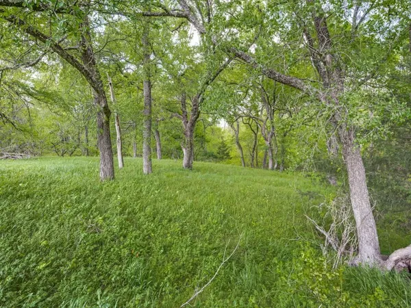 a view of a lush green space