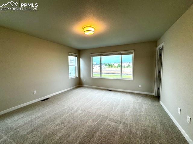 17737 Lemon Rye Loop Monument, CO 80132 - Photo 6 of 14 an empty room with windows