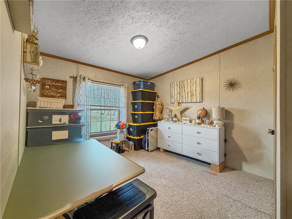 5389 East Lake Road Varick, NY 14541 - Photo 24 of 50