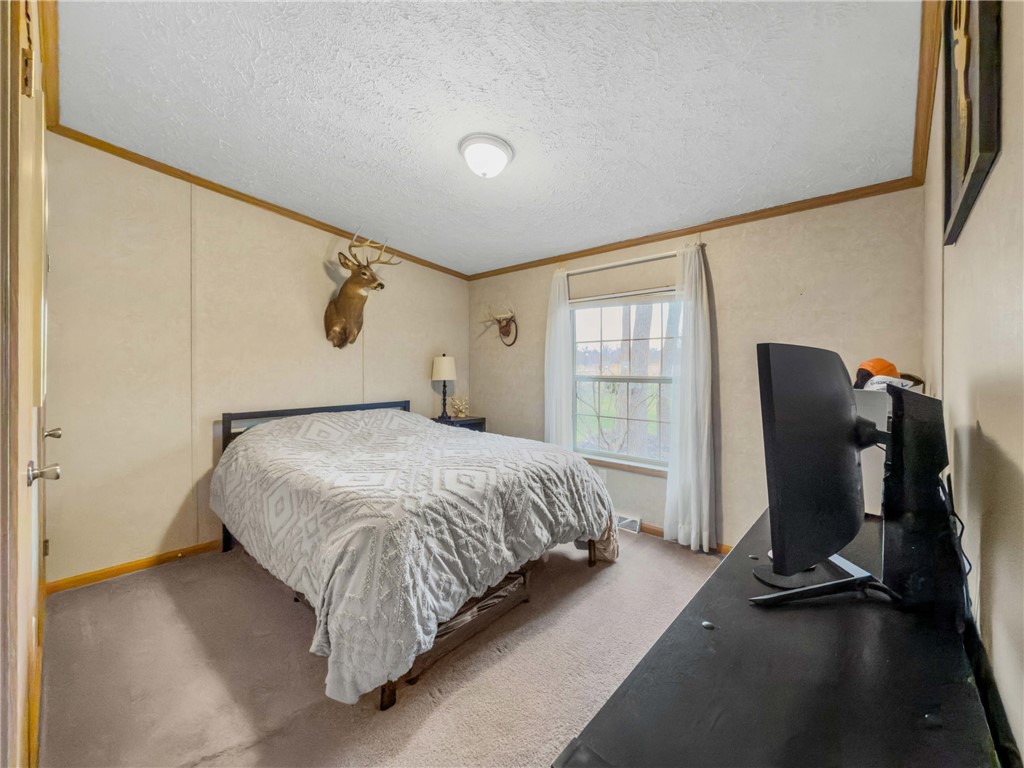 5389 East Lake Road Varick, NY 14541 - Photo 31 of 50