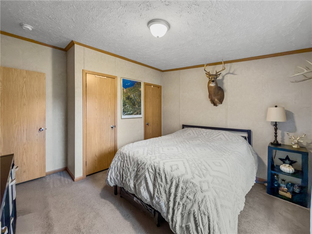 5389 East Lake Road Varick, NY 14541 - Photo 32 of 50